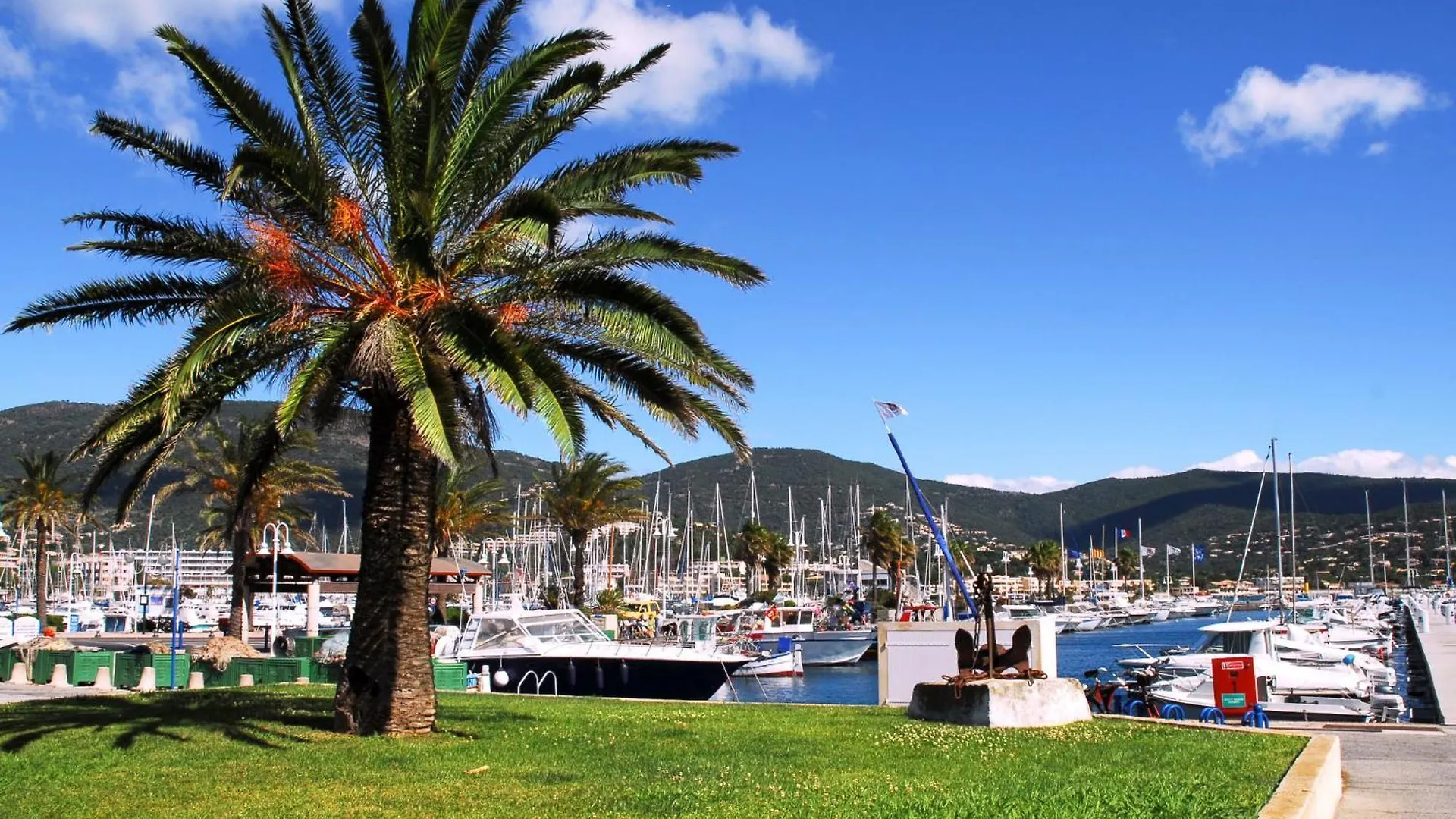 Apartment Les Mimosas-8 By Interhome Cavalaire-sur-Mer 0*,